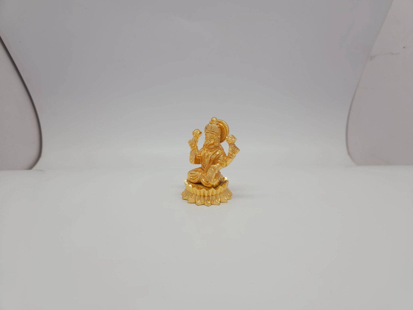 Lakshmi 13831