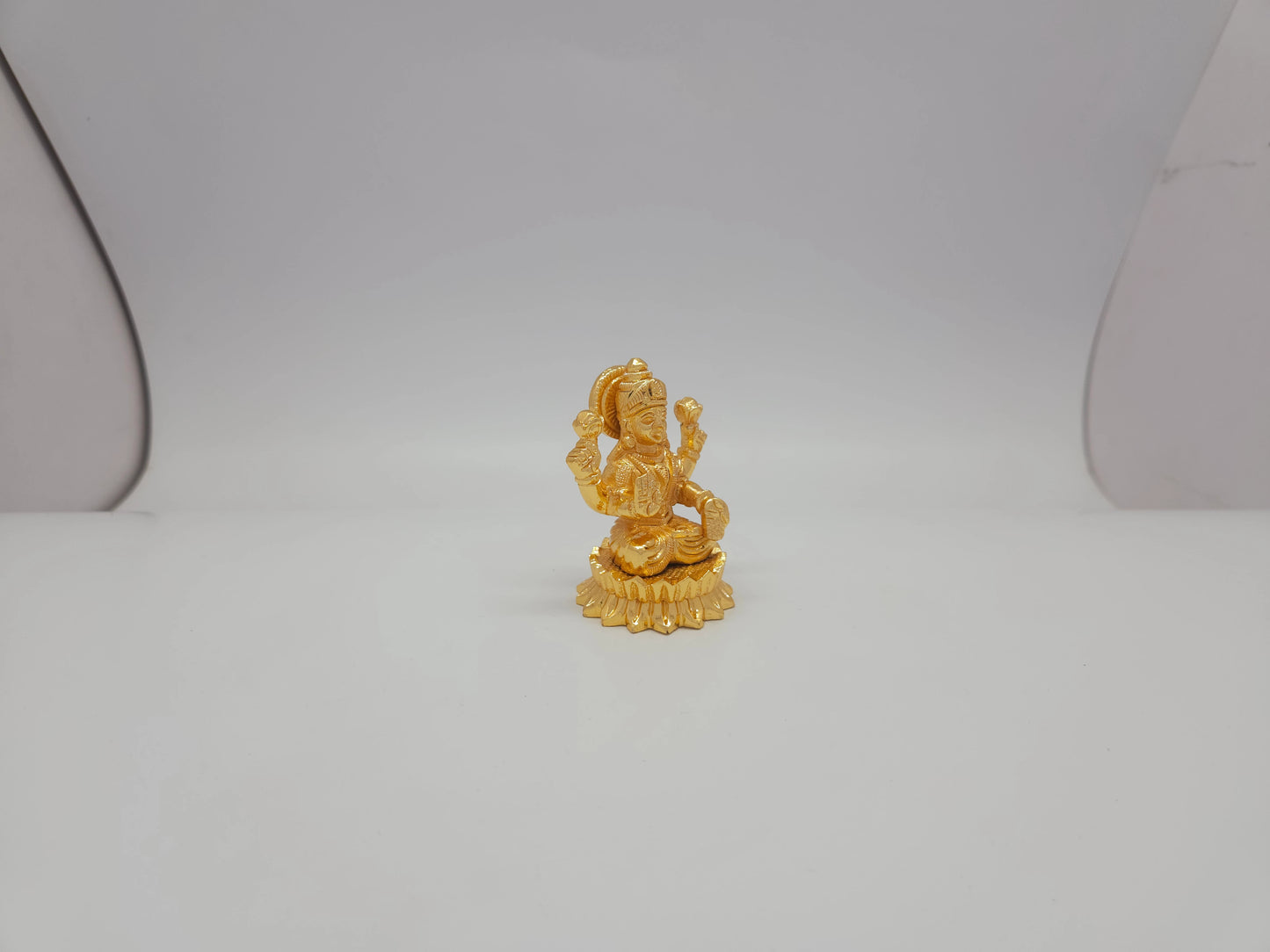 Lakshmi 13831
