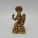 Lakshmi narayana