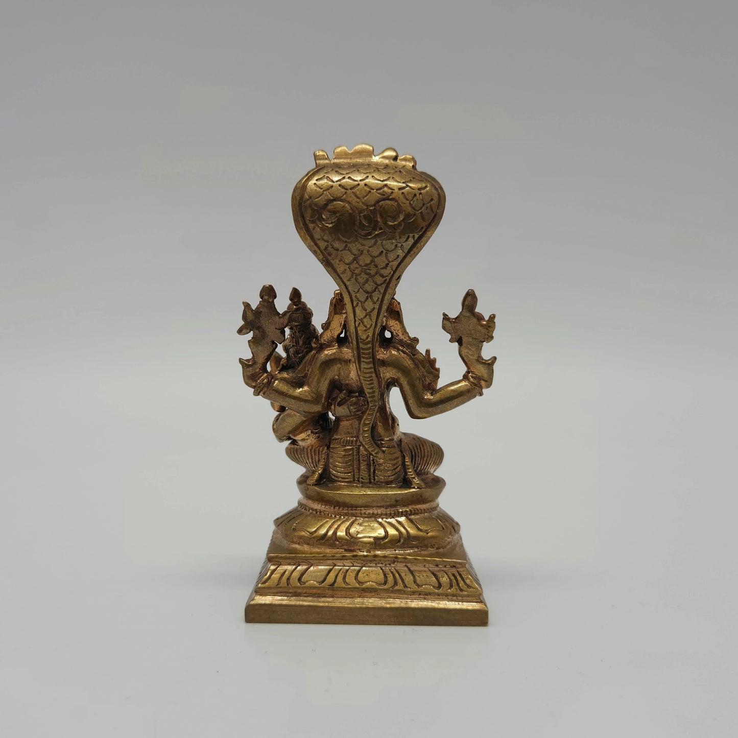 Lakshmi narayana