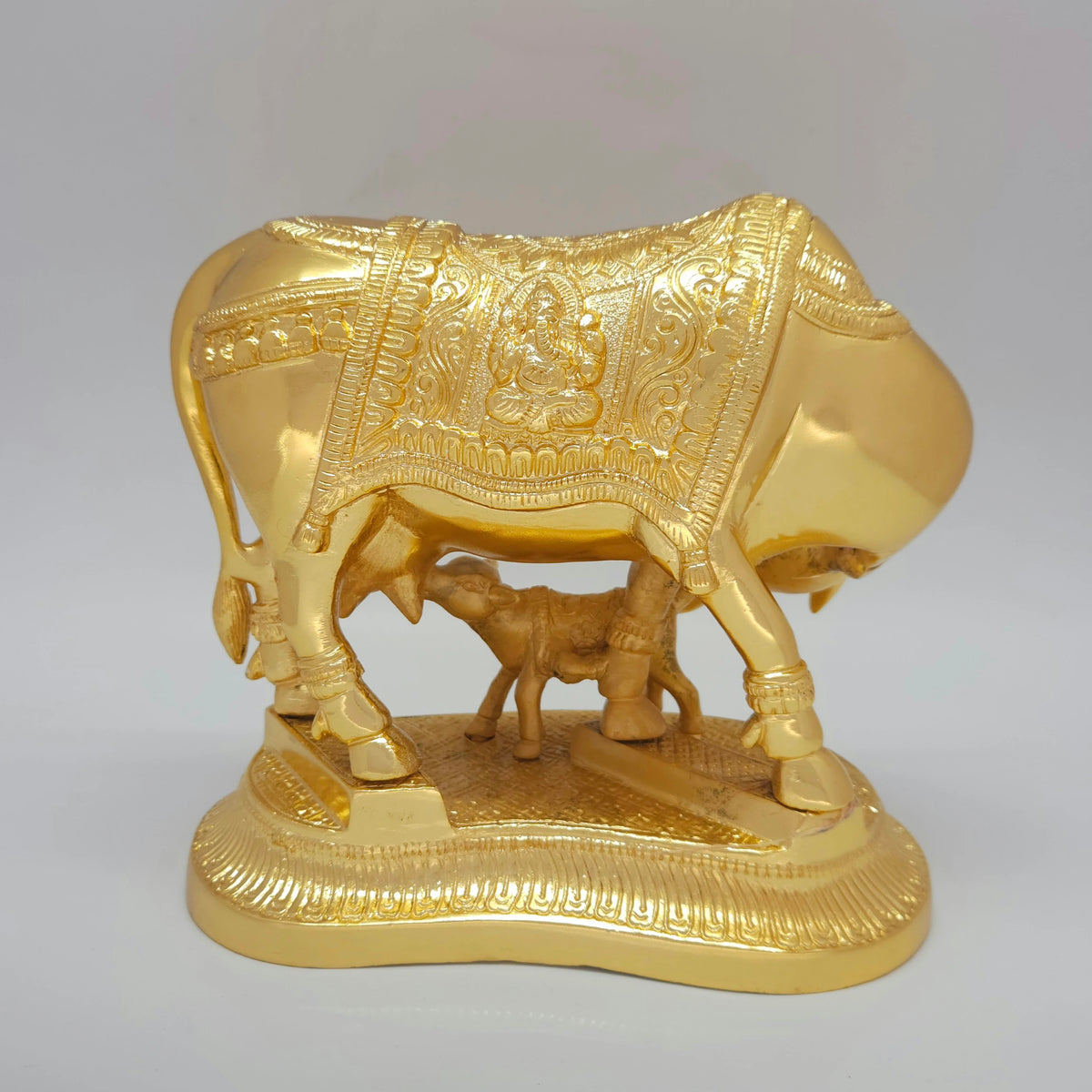 Cow calf 3.65kg