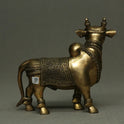 Nandi Standing