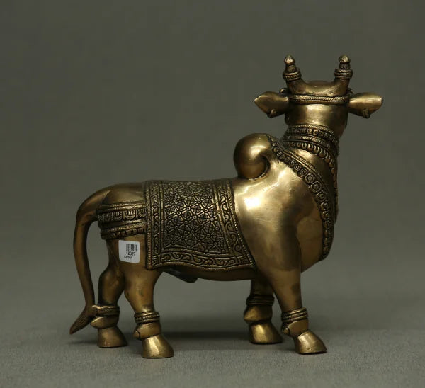 Nandi Standing