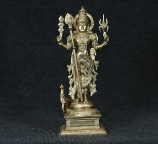 Murugan 6 Kg