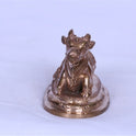 Nandhi 2-5