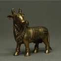 Nandi Standing