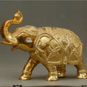 Elephant Ball 11 Kg-g