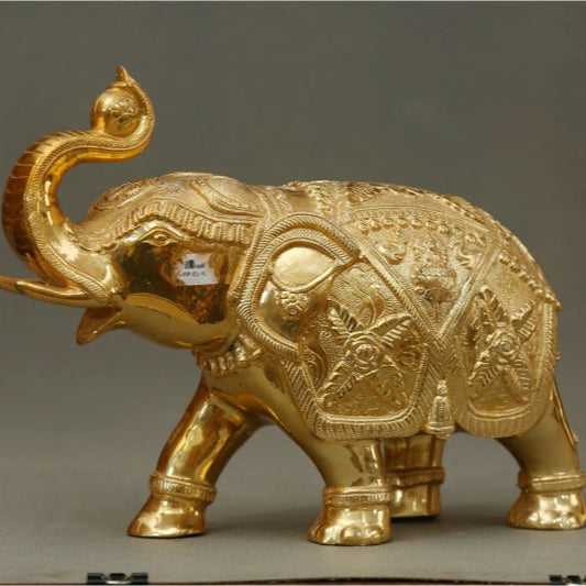 Elephant Ball 11 Kg-g
