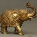 Elephant 15 Kg-g