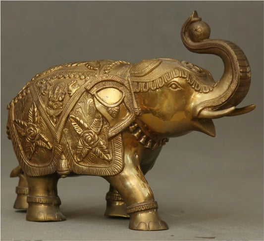 Elephant 15 Kg-g
