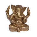 Ganesh Ganju 1.7kg