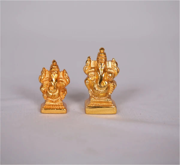 Ganesh Solid 50 Gm