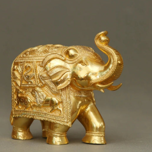 Elephant 9.000 Kg