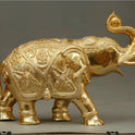 Elephant Ball 11 Kg-g