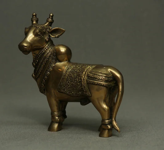 Nandi Standing