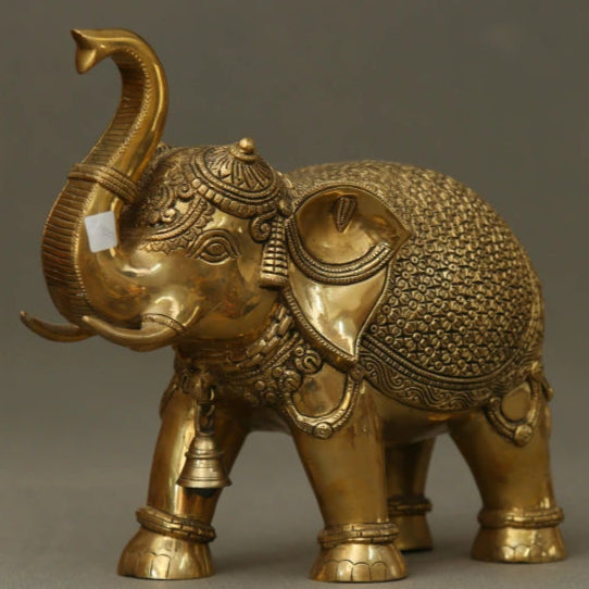 Elephant Ball 15 Kg-g