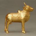 Standing Kalai 1.490 Gm