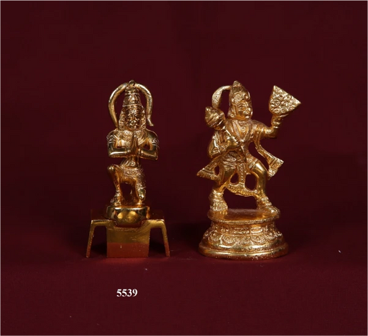 Hanuman 260 Gm