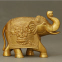 Elephant Ball 4.600 Kg-g