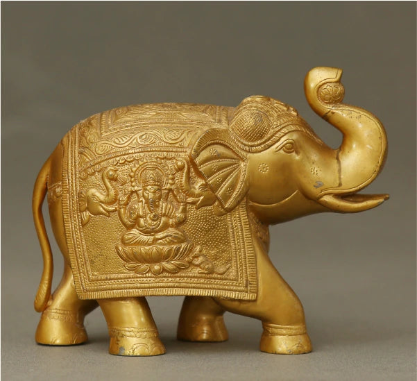 Elephant Ball 4.600 Kg-g
