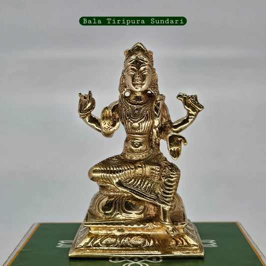 Bala Ambigai Panchaloha Statue 3.5 Inch | Goddess Parvati Child for Navaratri