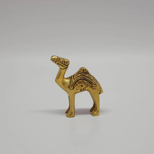 Camel small