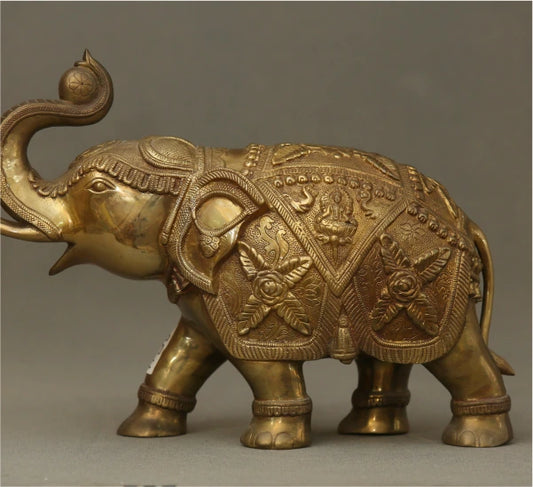 Elephant 15 Kg-g