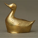 Duck Colour