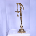 Parrot Lamp 1 Kg