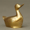 Duck Colour
