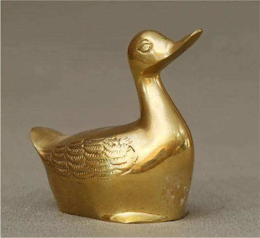 Duck Colour