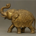 Elephant 11.000 Kg