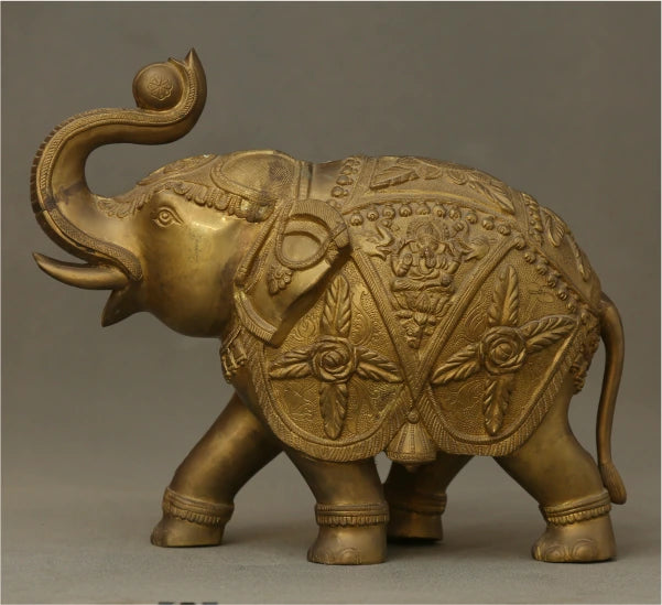 Elephant 11.000 Kg