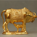 Cow Child 7.5 Kg