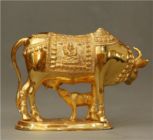 Cow Child 7.5 Kg