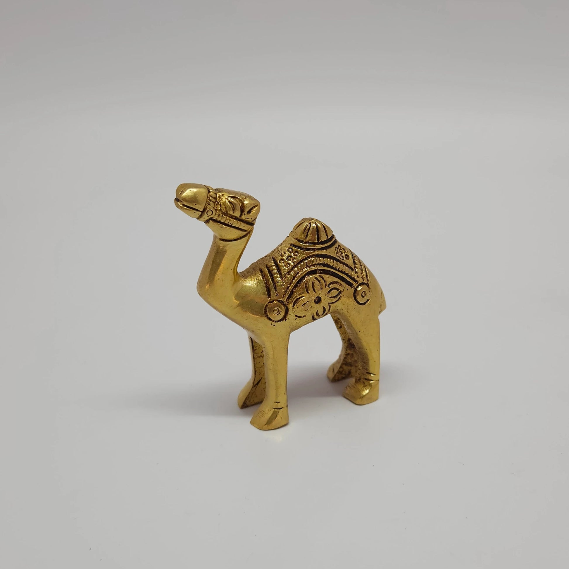 Premium Brass miniature camel statue 7cm front straight angle view focusing on face and traditional head harness