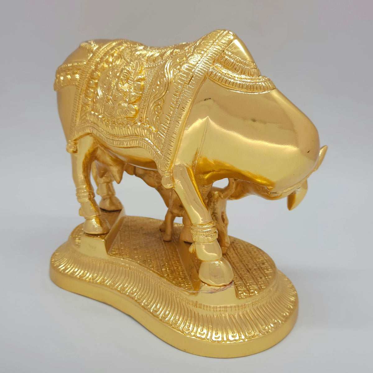 Cow calf 3.65kg